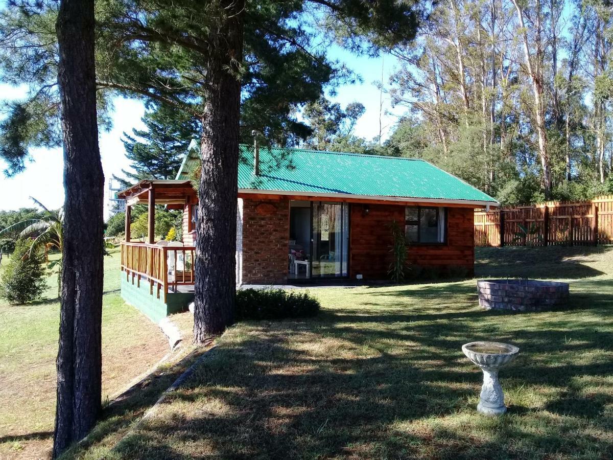 Wild Fig Cottage 塞吉菲尔德 外观 照片
