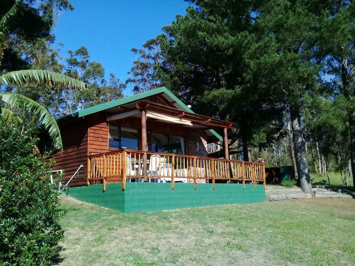 Wild Fig Cottage 塞吉菲尔德 外观 照片