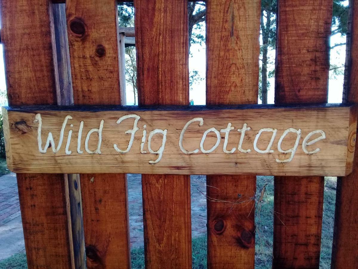 Wild Fig Cottage 塞吉菲尔德 外观 照片